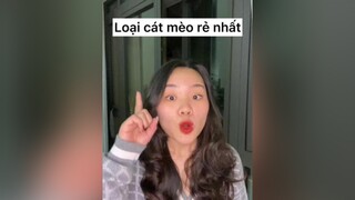 Ngại nhất cái nặng của cát đất sét 🥵🥵🥵meow mèocute cat meohay meomeo cát_mèo