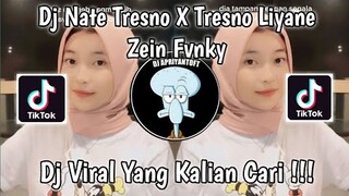 DJ NATE TRESNO X TRESNO LIYANE ZEIN FVNKY VIRAL TIK TOK TERBARU 2023 YANG KALIAN CARI !