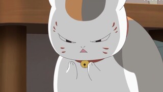 救命，胖太知道自己很可爱