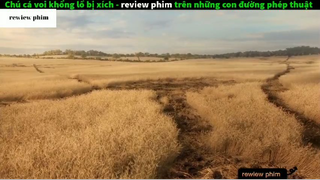 Tóm tắt phim Trên những con đường phép thuật 1 #phimhayreview