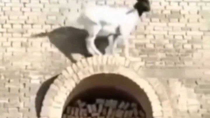 Seperti yang kita tahu, 90 derajat itu dinding, 91 derajat itu lereng.