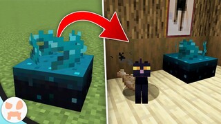 MINECRAFT 1.17 SCULK SENSORS ARE A GAME CHANGER!