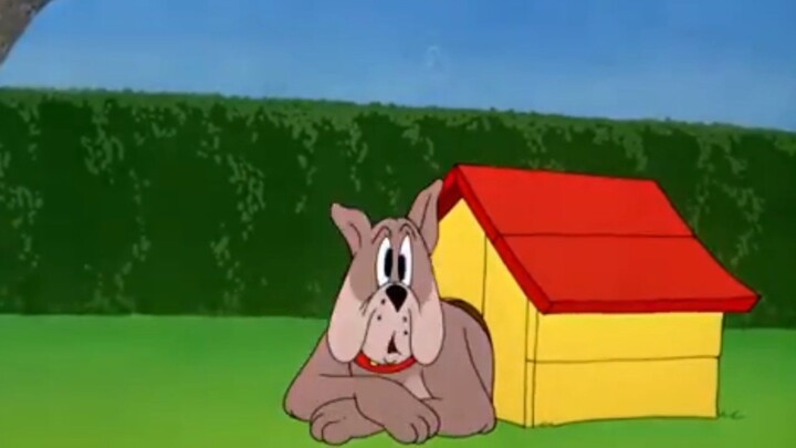 Tom and Jerry | The Dog House 16
