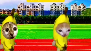 ทุ่มน้ำหนัก vs ไอรอนแมน