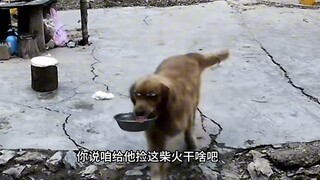 อย่าทำอย่างนี้ดีกว่า