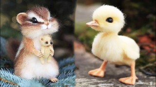 Cute baby animals Videos Compilation cute moment of the animals - Cutest Animals #6