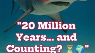"Hammerhead Shark Adaptations: The Science Behind Their Senses and Decline"