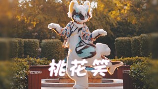 【桃花笑】今天你笑了吗?来看看让人释放疲劳的舞吧~