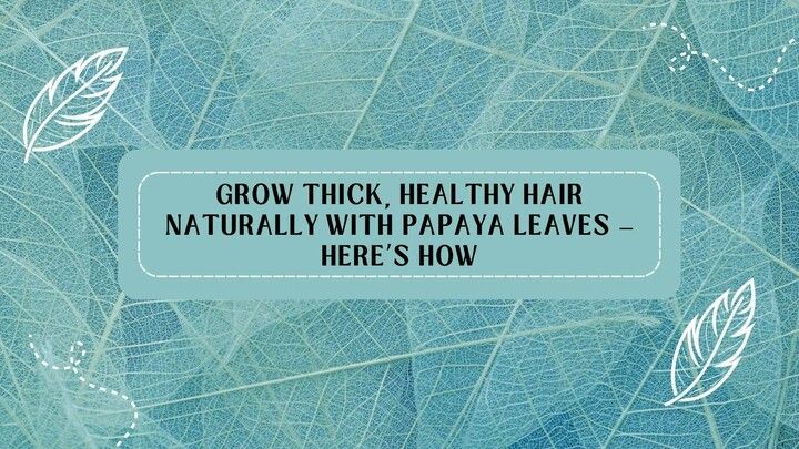 Grow Thick, Healthy Hair Naturally with Papaya Leaves — Here’s How