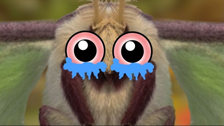 Animals With The Worst Fates In Nature