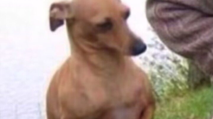 Nostalgic Moments from Childhood (45)