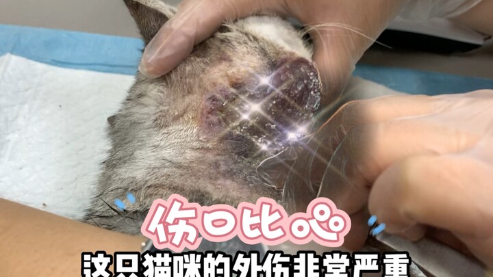 Even our festering wounds are sending us heart signs—so resilient and so lucky!