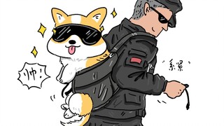别的警犬 vs 柯基警犬