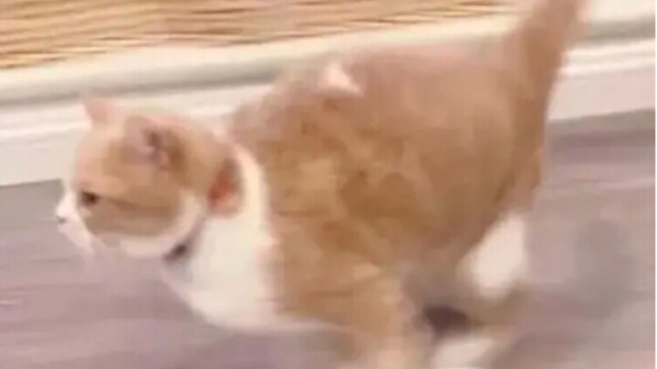 ก็จริงอย่างที่คิดนั่นแหละ ผ่านการตรวจสอบไม่ได้ สักพักก็ถูกส่งกลับมา เพราะมีคนดูเยอะเกินไป