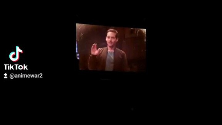 spiderman no way home (tobey meet andrew)