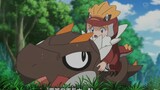 [Pokémon] It would be great if the baby Tyrannosaurus could always follow Yurika