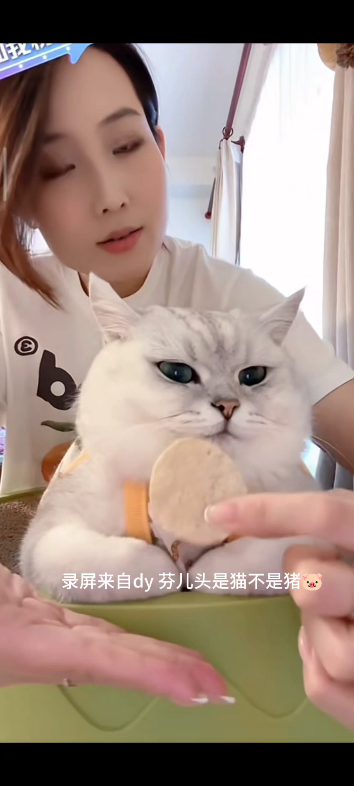 Cooperating with Mom's Evil Silver Gradation