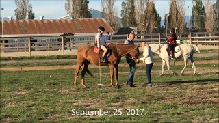爸爸让我在11岁时学习马球My father made me learn polo at 11