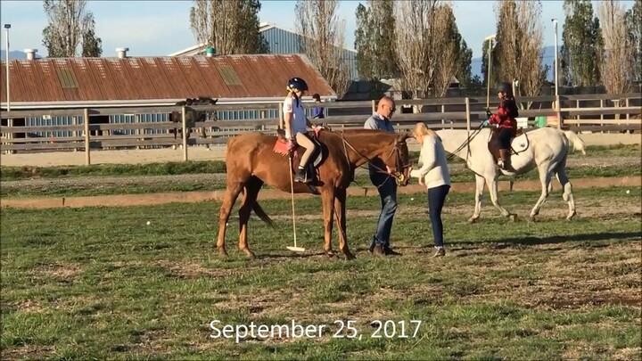 爸爸让我在11岁时学习马球My father made me learn polo at 11