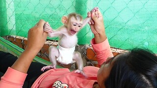 Cute Little boy Maki Is Very Relaxing Laugh playing With Mom On Hammock when mom Free from work