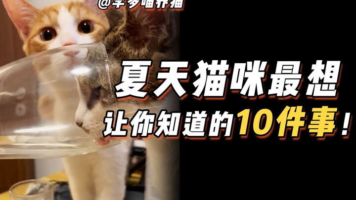 夏天猫咪最痛苦的事，以前没人告诉我