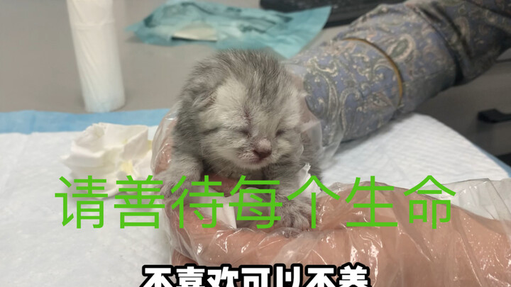 If you don’t like it, don’t get it—just don’t hurt them.