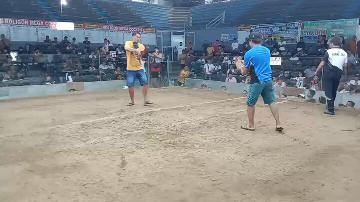 Lose fight ni tangkarong bulik