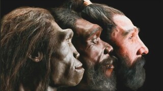Watch the 6-million-year evolution of human faces in 1 minute