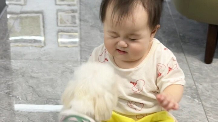 How do human pups react when they see a dog for the first time?