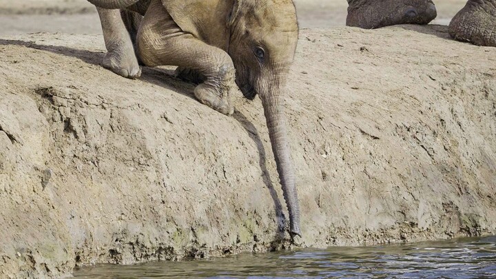 นี่คือเรื่องราวอันแสนเศร้า