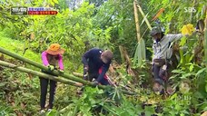 law of the jungle(sumatra) ep 260 sub indo