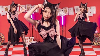 【Hua】There are many cats with bad intentions♥アニマル（Animal）