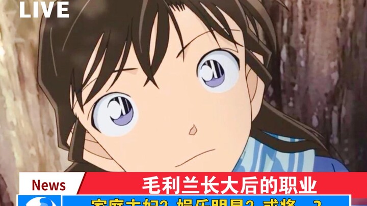 《柯南》毛利兰未来的职业，或令人惊讶！