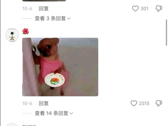 A Chinese creator on TikTok makes braised beef noodles with a chicken leg; the comments say: “Please
