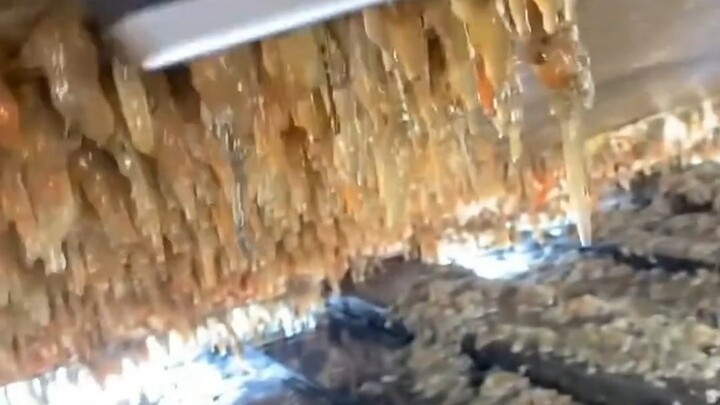 Once a barnacle sticks, can it really never be shaken off?