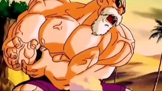 [Dragon Ball] The eternal martial arts master, Master Roshi.