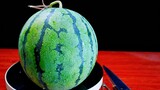 【DIY】Watermelon carving