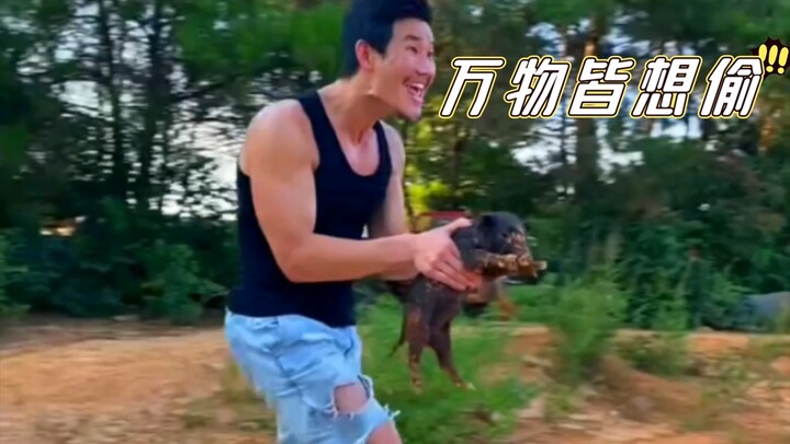 🐷 Gà Tử Trộm Lợn 🐷