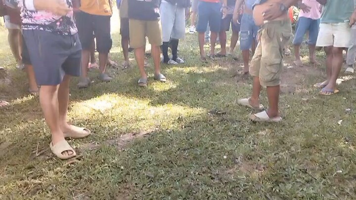 18K PARADA - GILMORE HATCH X SWEATER - FIRST FIGHT @ 11 MONTHS OLD