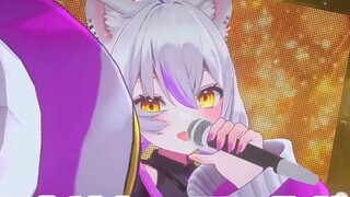 Singa konyol itu memberikan pidato konser dan menjadi gila. Dia sangat cemas sehingga dia mengambil 