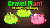 Axie Infinity BPA and BPP Team Build | Arena Gameplay | Waiting for Eggs to Hatch (Tagalog)