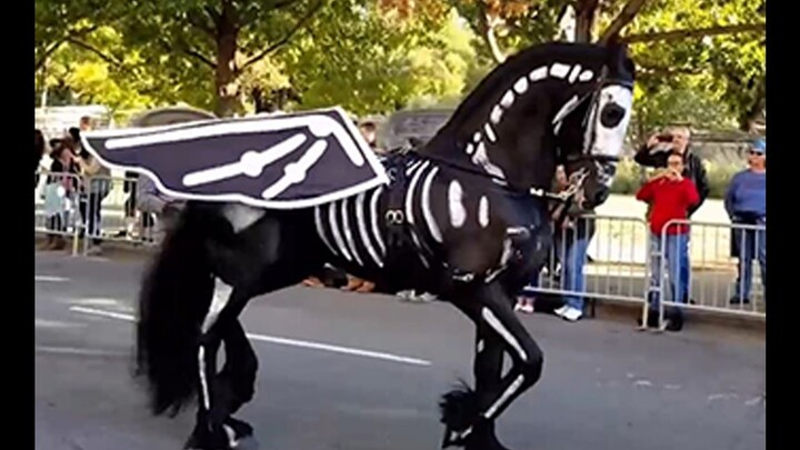 “Coco วันโลกาวินาศของดวงวิญญาณ” ไม่เคยหลอกเราเลย! คริสต์มาสแห่งวันแห่งความตายในเม็กซิโก