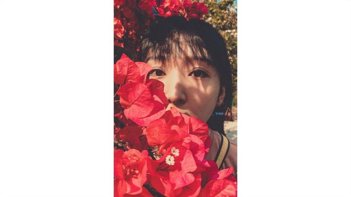 Bí kíp cập nhật