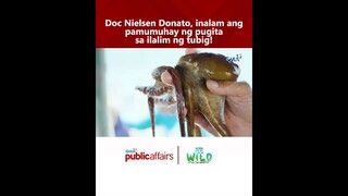 Doc Nielsen Donato, inalam ang pamumuhay ng pugita sa ilalim ng tubig! | Born to be Wild