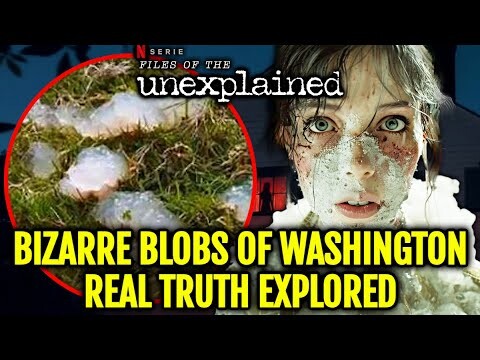 Real Truth Behind Mysterious Alien Blobs of Washington - Explaned - Files Of The Unexplained Netflix