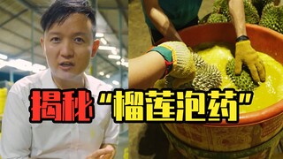 【水果猎人】泰国工厂现场直击，揭秘“榴莲泡药”背后的真相