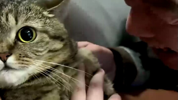 Cat: Is your whole family okay?