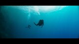 The Dive _ Official Trailer