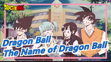 [Dragon Ball] "The Name of Dragon Ball Can Be Still Heard in Our Time"