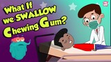 What If We Swallow Chewing Gum? | Swallowing Bubble GUM | Dr Binocs Show | Peekaboo Kidz